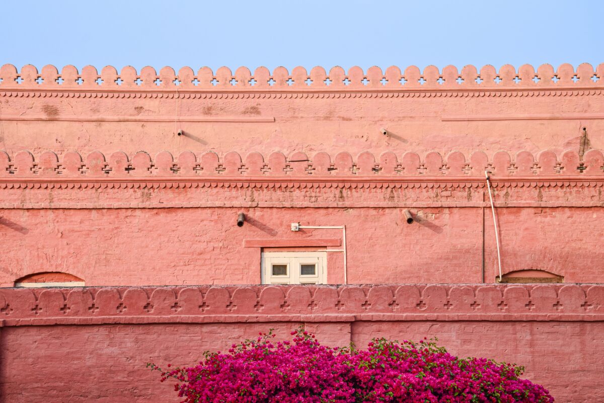 Parede tradicional de um forte rosa em Jaipur adornada com flores vibrantes de bougainvillea, demonstrando a psicologia do rosa através de sua expressão mineral vernacular que absorve a luz tropical e reduz a rigidez geométrica.