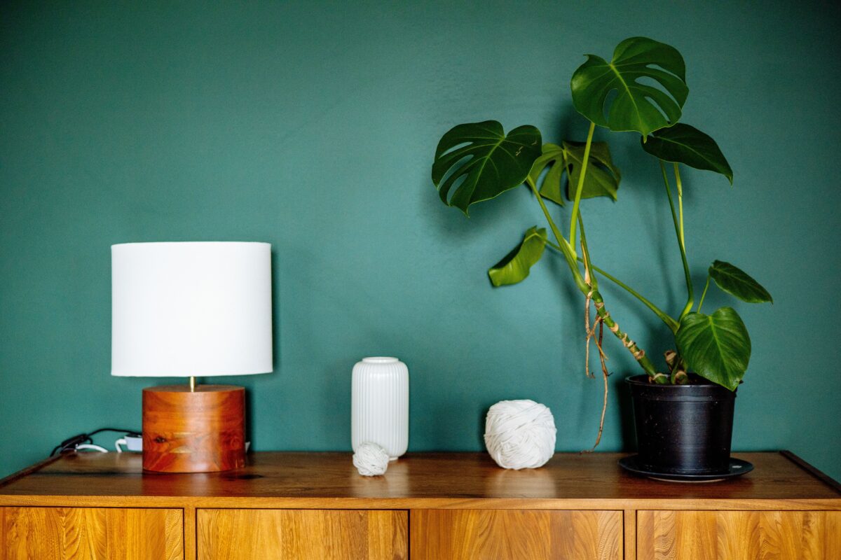 Uma elegante cômoda de madeira com uma planta monstera, um abajur e objetos de decoração contra uma parede verde (psicologia do verde).