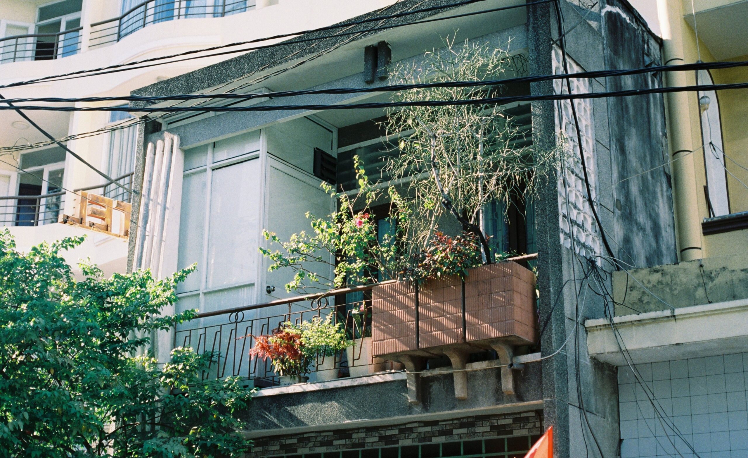 Varanda de edifício com vegetação em jardineiras na fachada.